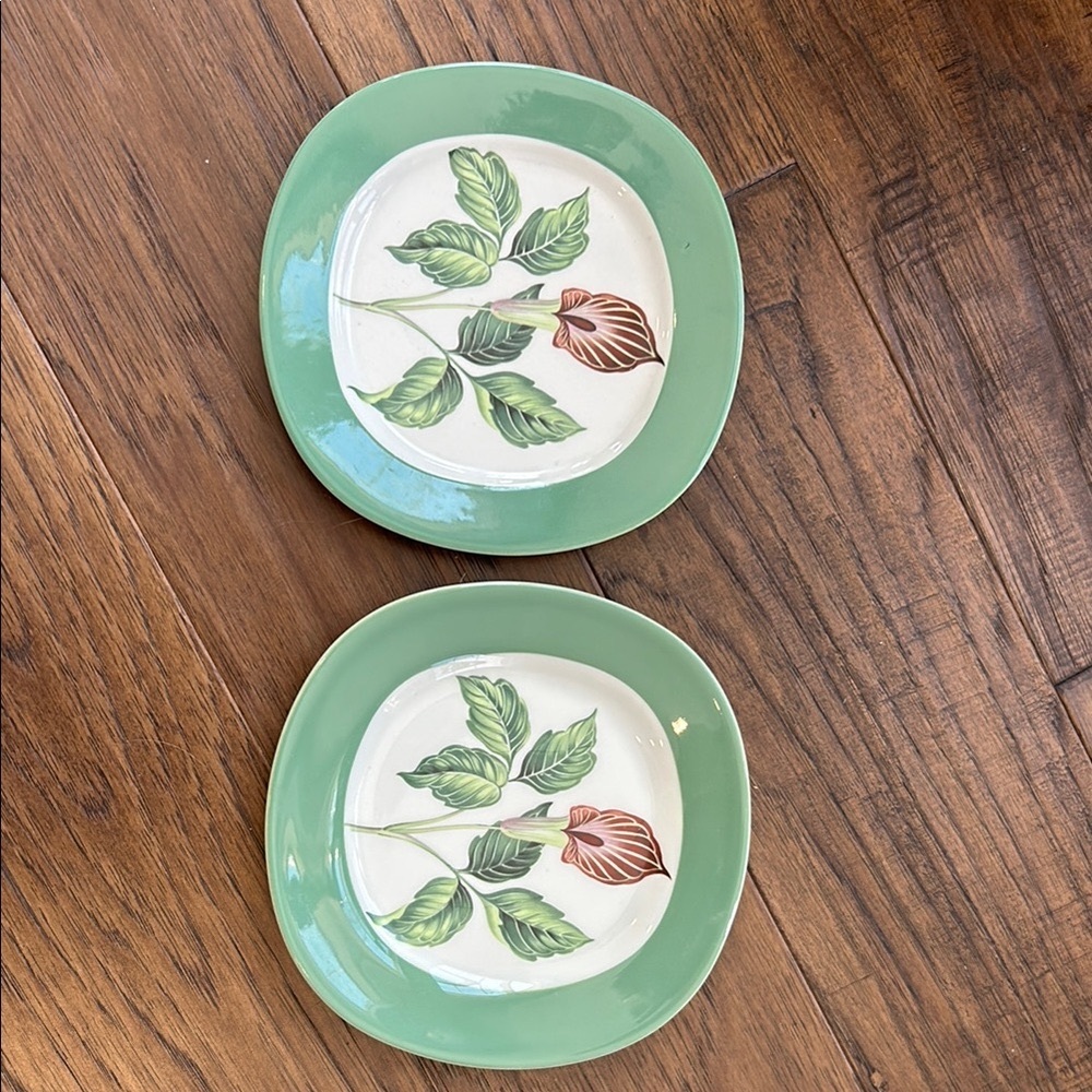 Two Vintage Jack in the Pulpit dessert Plates